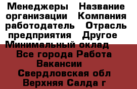 Менеджеры › Название организации ­ Компания-работодатель › Отрасль предприятия ­ Другое › Минимальный оклад ­ 1 - Все города Работа » Вакансии   . Свердловская обл.,Верхняя Салда г.